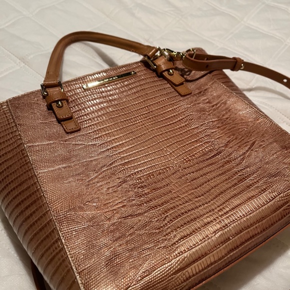 Brahmin - Picture 5 of 9